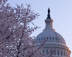 2025 Tax Reform TCJA Offsets Budget Offsets