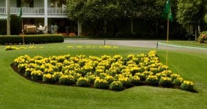 Augusta Exemption: Rental Income & The Masters Tax Exemption Masters golf tournament, Masters tax exemption Augusta National Golf, A tradition unlike any other