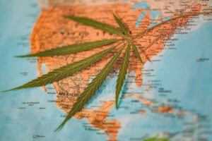 Cannabis taxation recreational marijuana tax policy including elements of a cannabis plant including THC