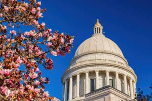 Arkansas tax cuts and relief Arkansas tax reform 2024
