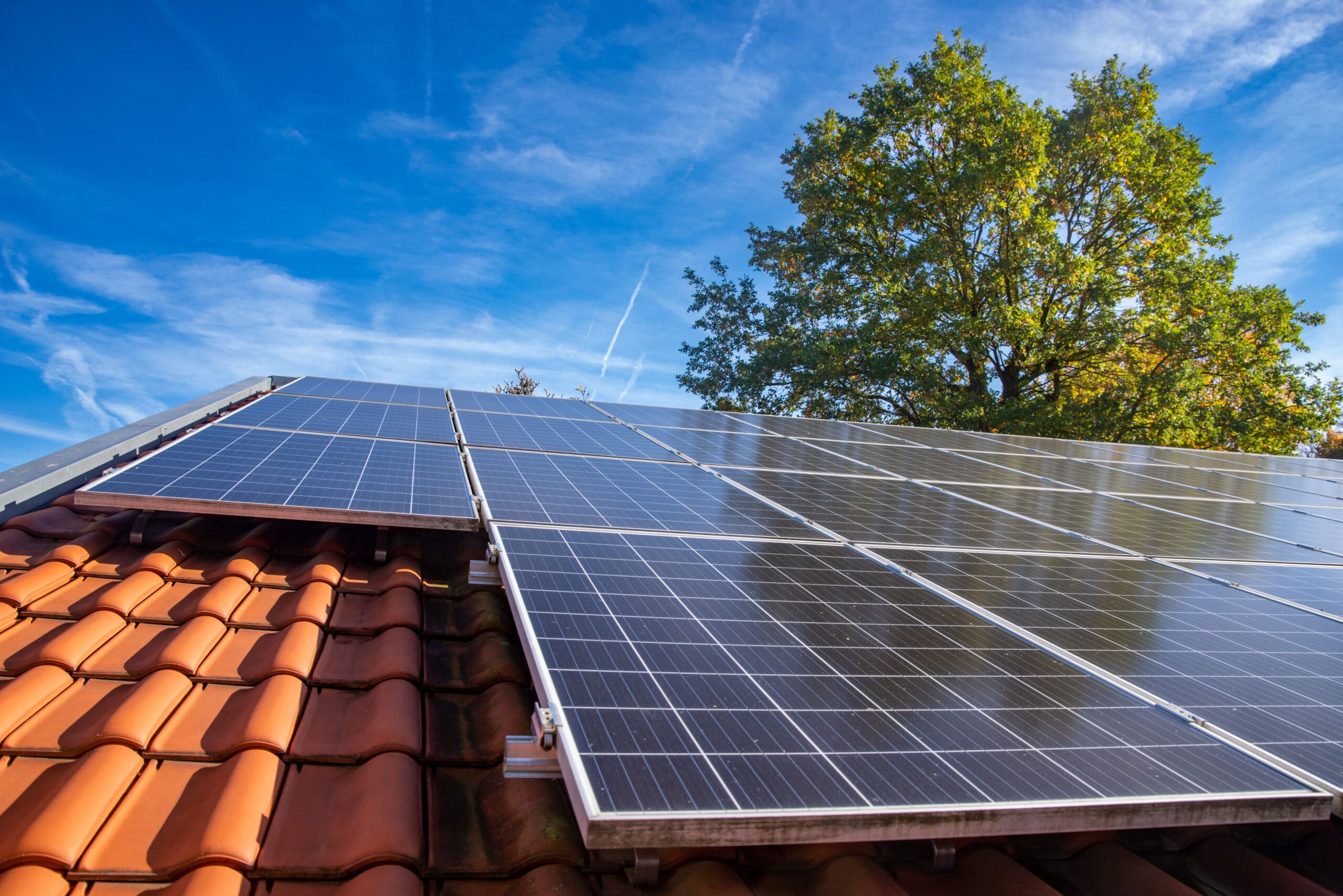 Inflation Reduction Act (IRA) Green Energy Tax Credits | Testimony